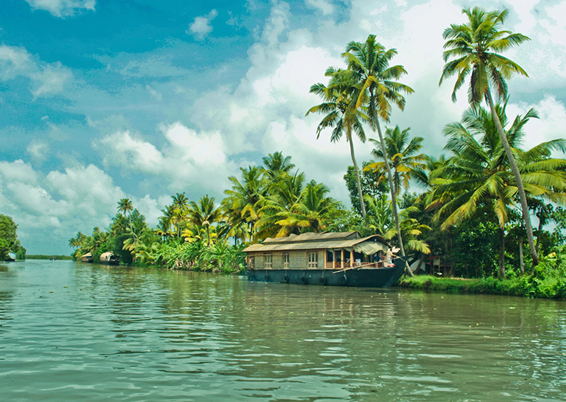 Discover Brazil