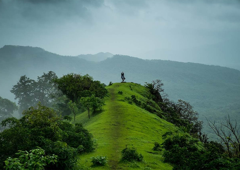 Discover Brazil