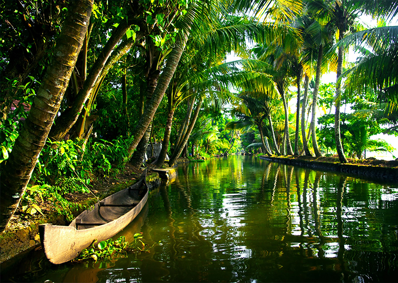 Discover Brazil
