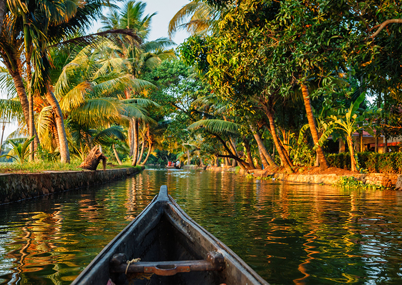 Discover Brazil