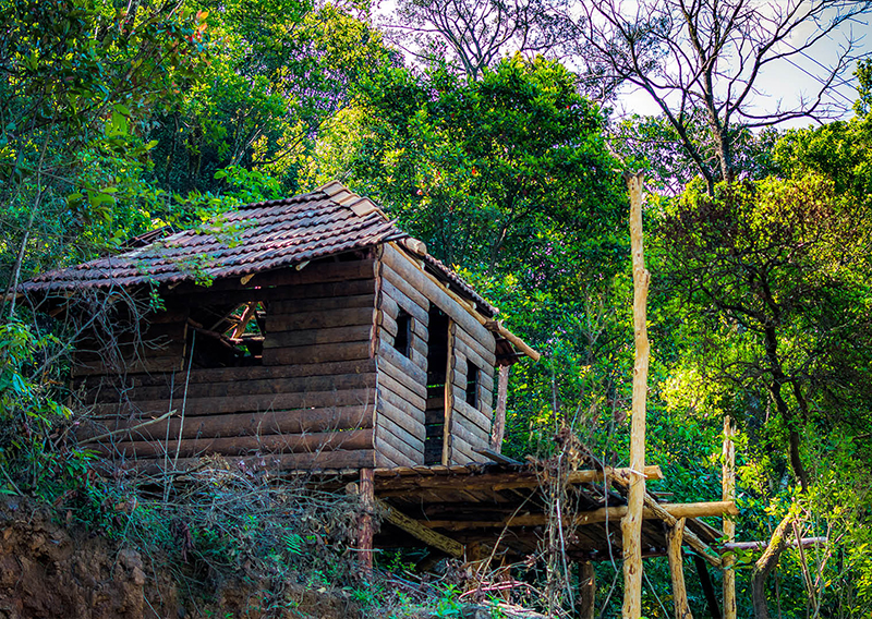 Discover Brazil