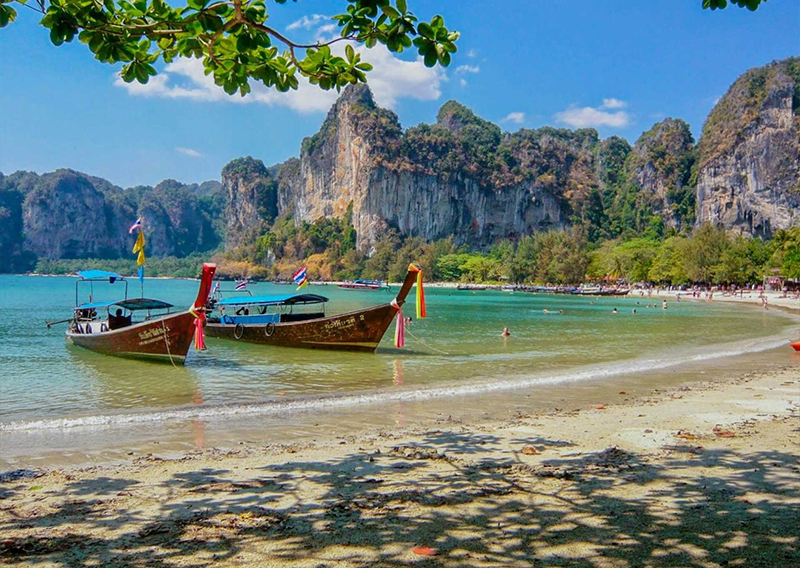 Discover Brazil